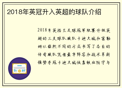 2018年英冠升入英超的球队介绍