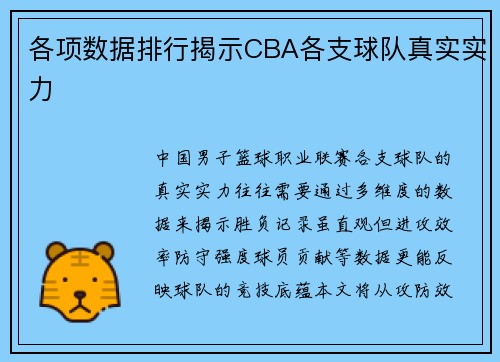 各项数据排行揭示CBA各支球队真实实力