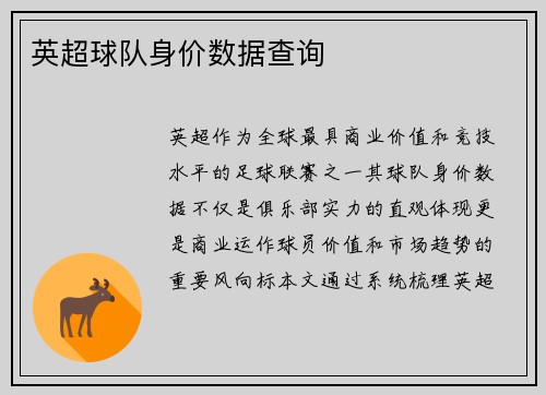 英超球队身价数据查询